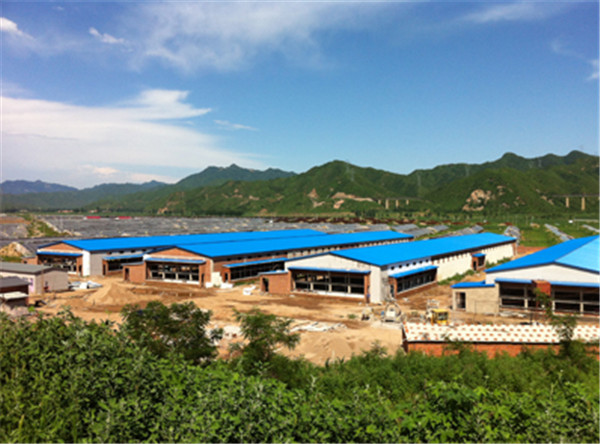 雞舍養(yǎng)殖建設(shè)流程？