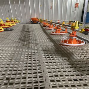 平養(yǎng)料線水線實(shí)際圖