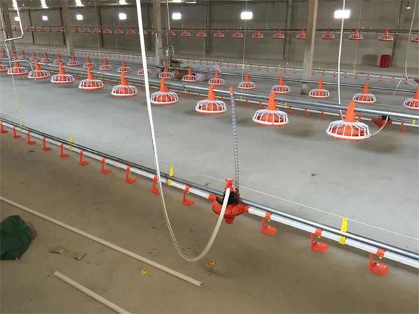 平養(yǎng)料線(xiàn)水線(xiàn)完工圖