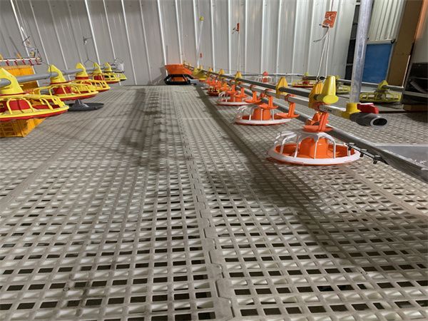 平養(yǎng)料線(xiàn)水線(xiàn)實(shí)際圖